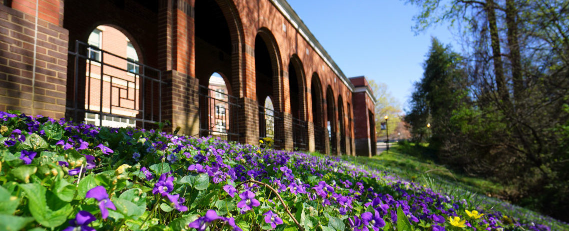 University Building